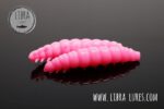 LARVA - 017 BUBBLEGUM.jpg